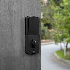 Cerrojo Electrónico 264